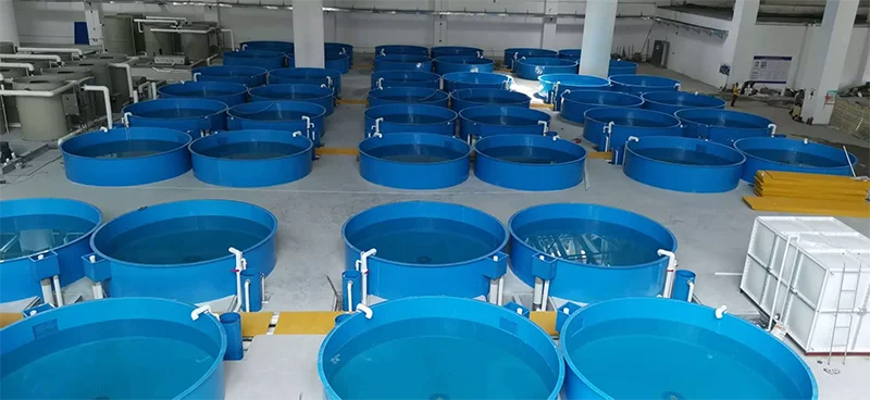 RAS fish farming system for fish breeding equipment