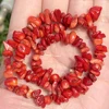 Corallo rosso