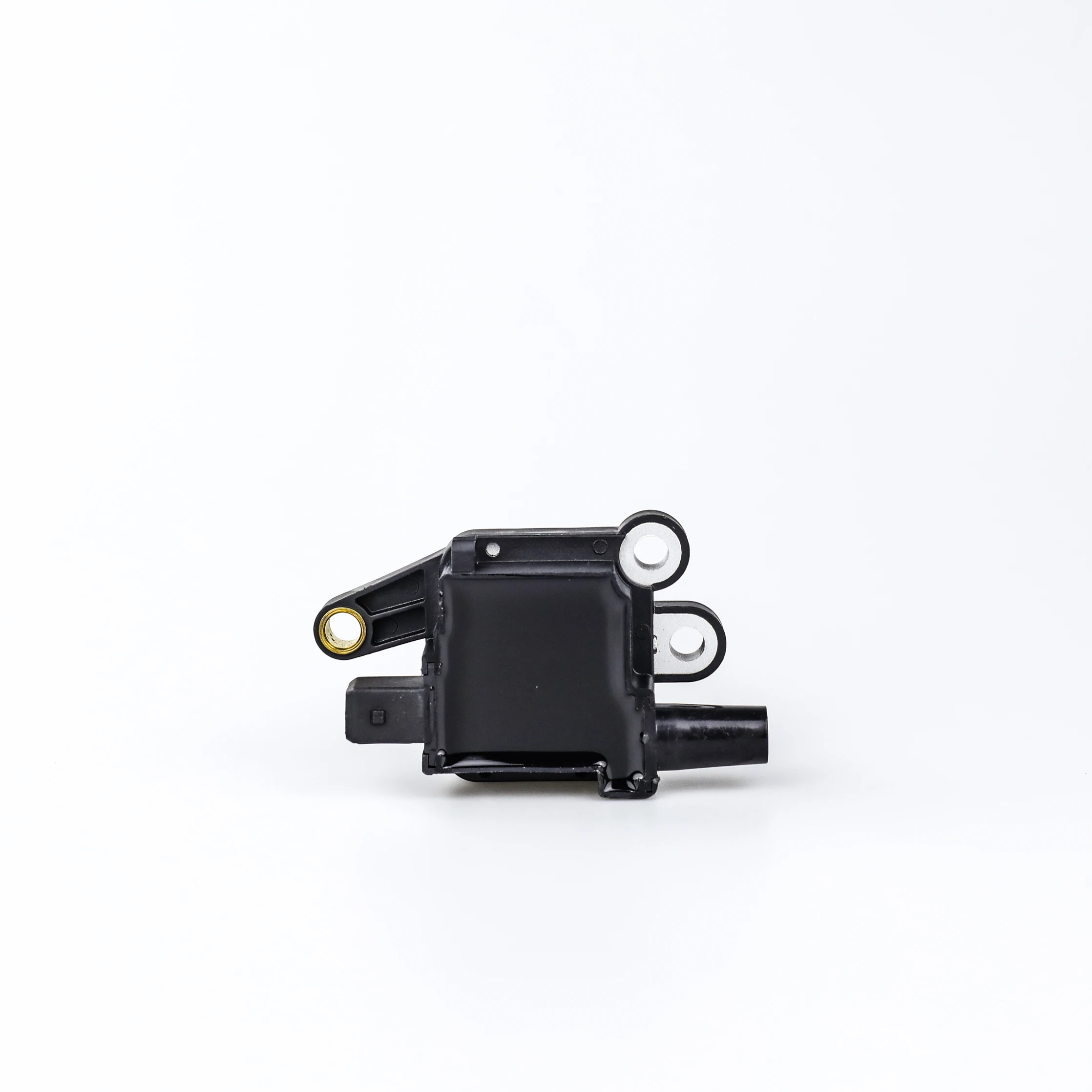 Ignition Coil - F01R00A012