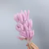 Taro violet