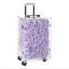 199 rose viola colorate 40*30*60