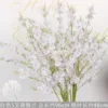 Orchidée dansante blanche à 5 pointes