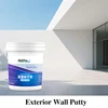 Exterior Wall Putty