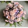 Purple&Pink