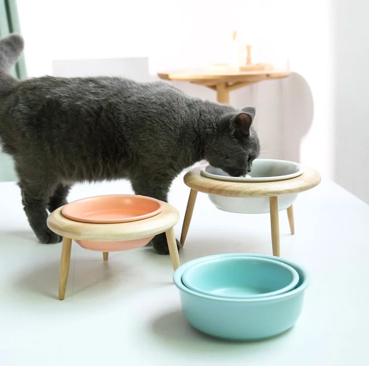 elevated cat bowls
