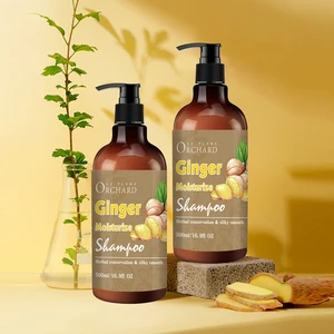OEM ODM Custom Wholesale Hair Care Sampoo Natural Organic Treatment Black Anti Hair Loss Ginger Shampoo