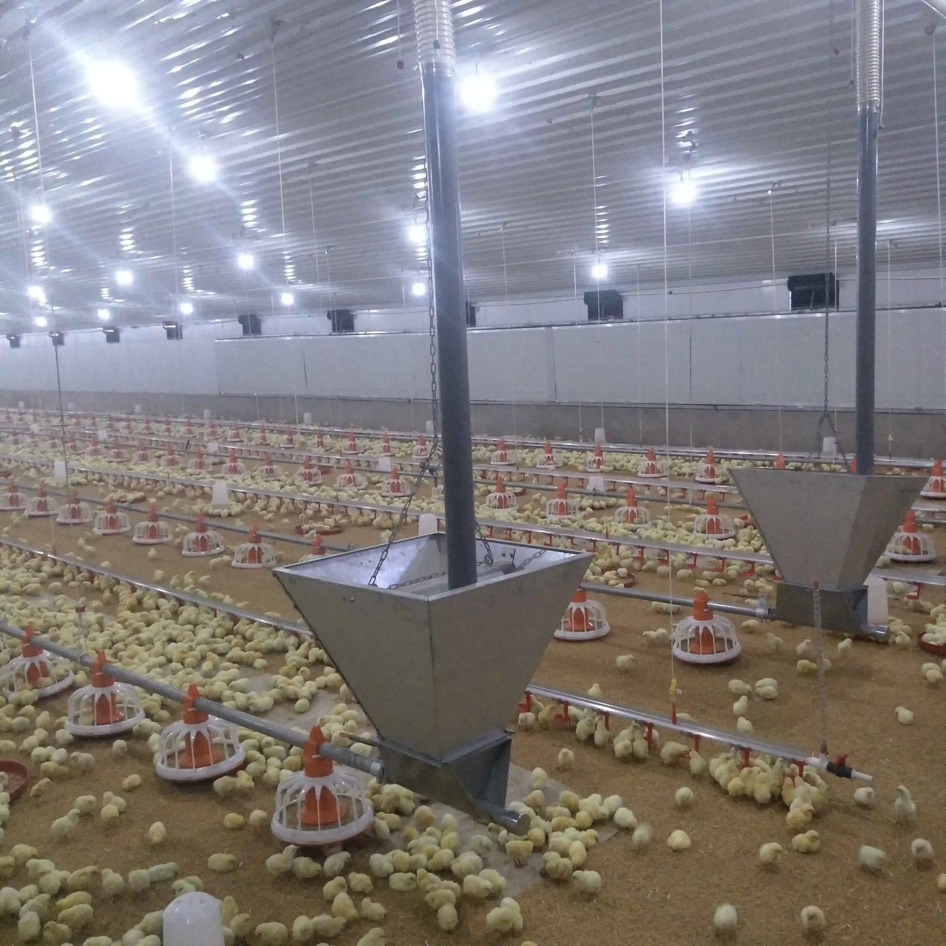 Turnkey Solution Automatic Broiler Breeder Layer Chicken Poultry Floor Cage Farming Raising Growing Equipment Machine System