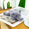 22cm elephant posture