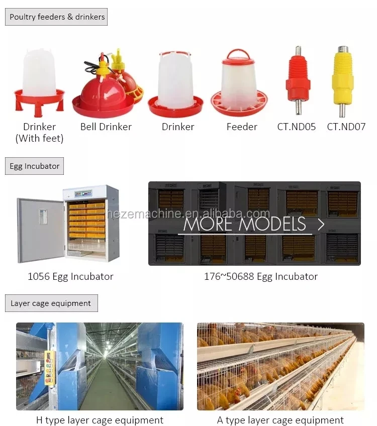 Egg Incubator5.jpg