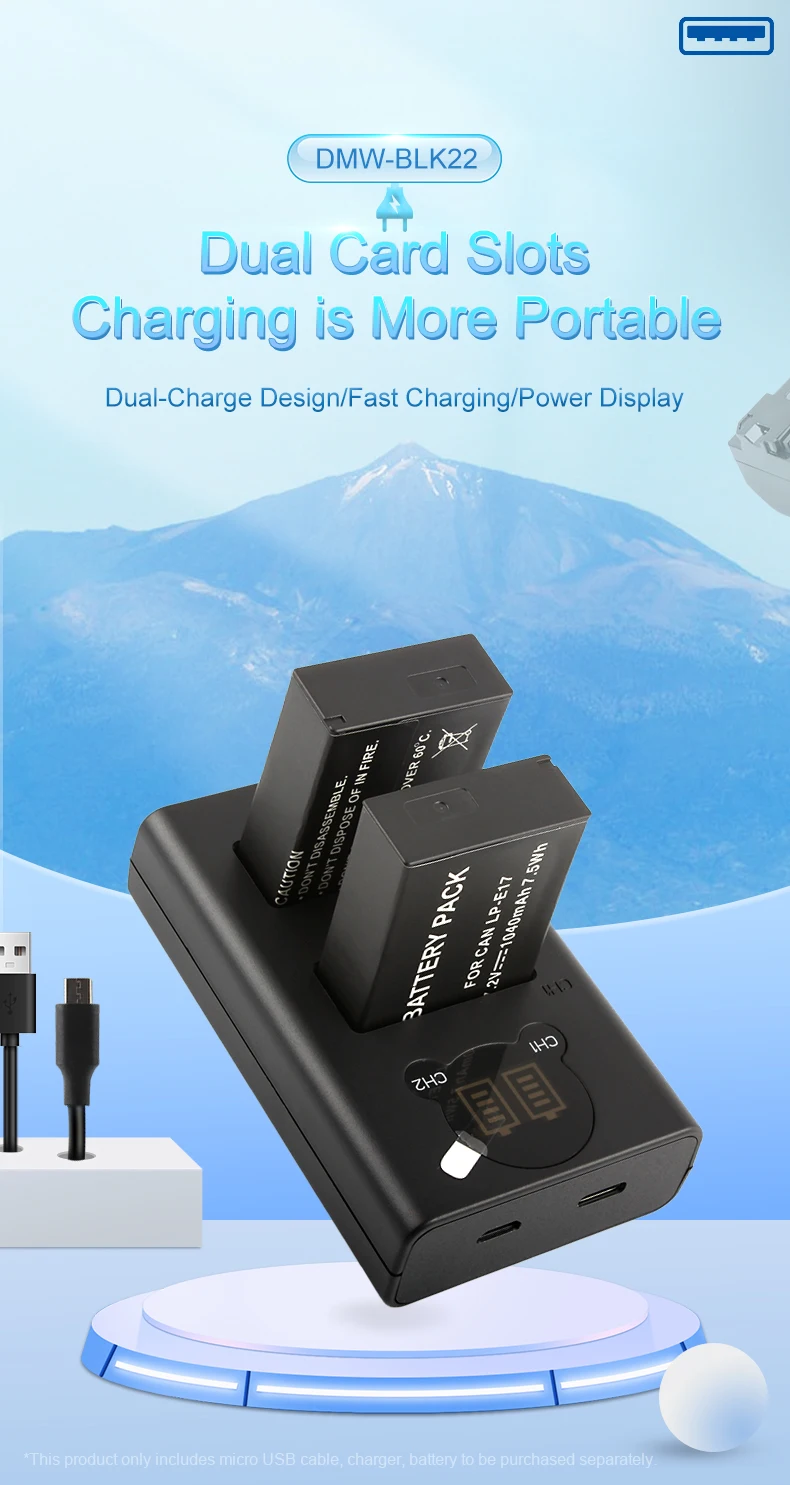 RingTeam LP-E17 LP E17 Small LCD Display Battery Dual Charger With Micro TYPE-C For Canon 750D 800D 77D Camera factory