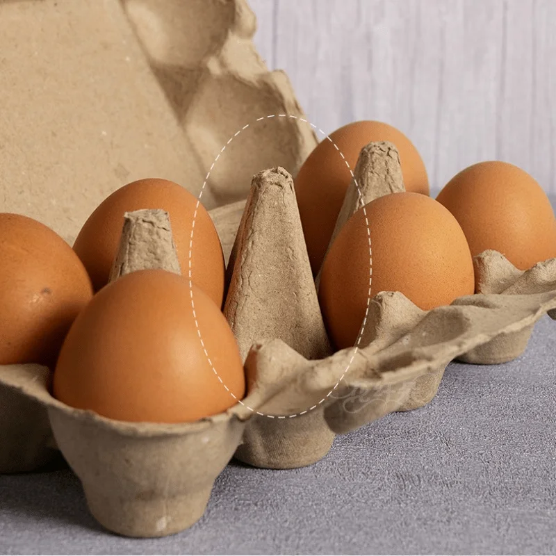Environmentally Biodegradable Pulp Material 6/12/24/30 Cells Egg Holder Packaging Storage Containers Egg Tray for Home Kitchen
