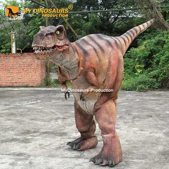 Wholesale Meu dino d49 adulto realista dinossauro, bebê t rex fantasia From  m.alibaba.com