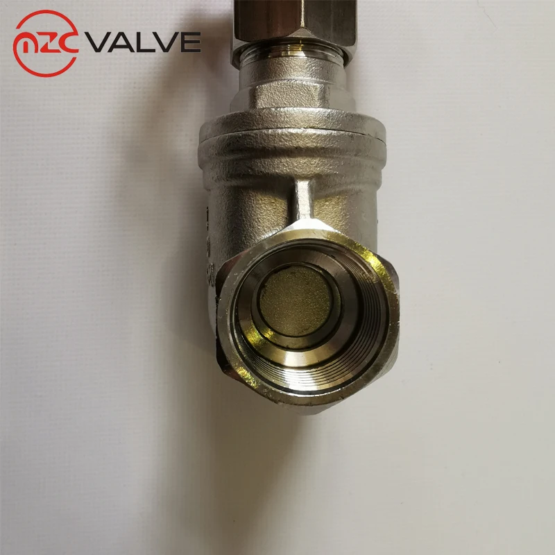 Manual Slide Gate Valve Female Threaded Ends 200PSI 304 Stainless Steel Water Gate Valve Price