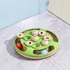 Cat Ping Pong Food Tray (Green)