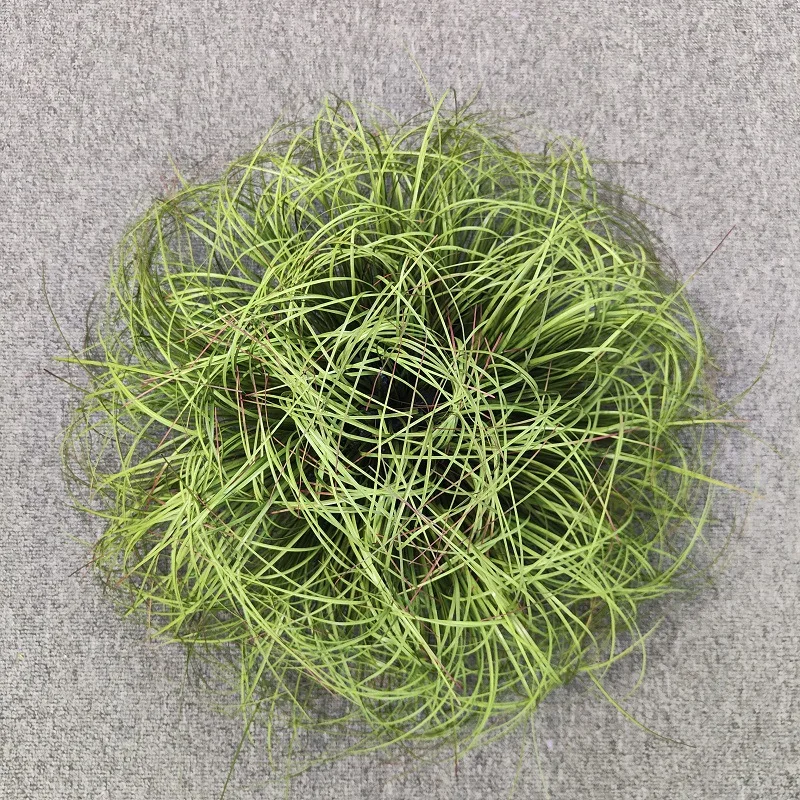 Оптовая продажа трава дизайн ландшафтный моделирование растений травяная группа