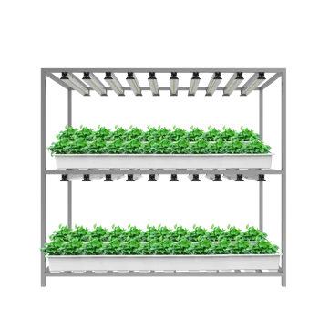 Led Grow Light Grow seedlings LED Full Spectrum Commercial Growing System Plant Growth Light