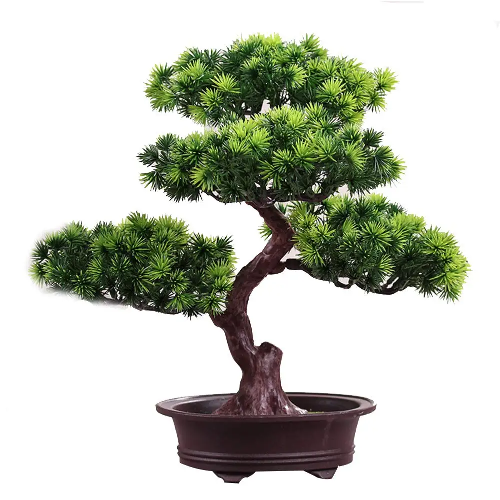 Бонсаи Дерево