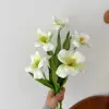 Cinco tulipanes verdes en flor