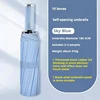 10K Automatic Umbrella(Sky Blue)
