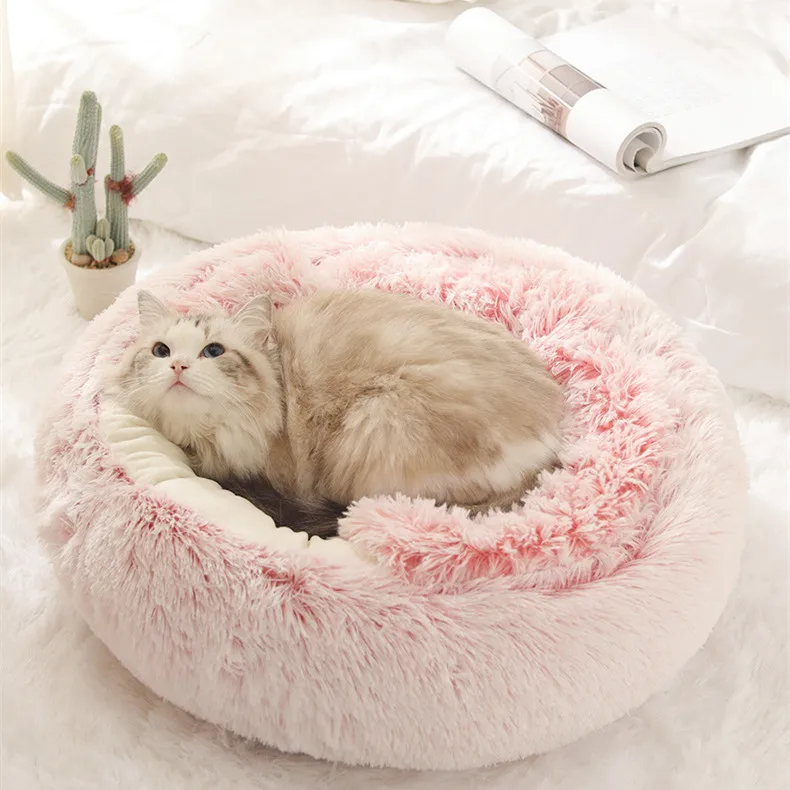 buy cat bed