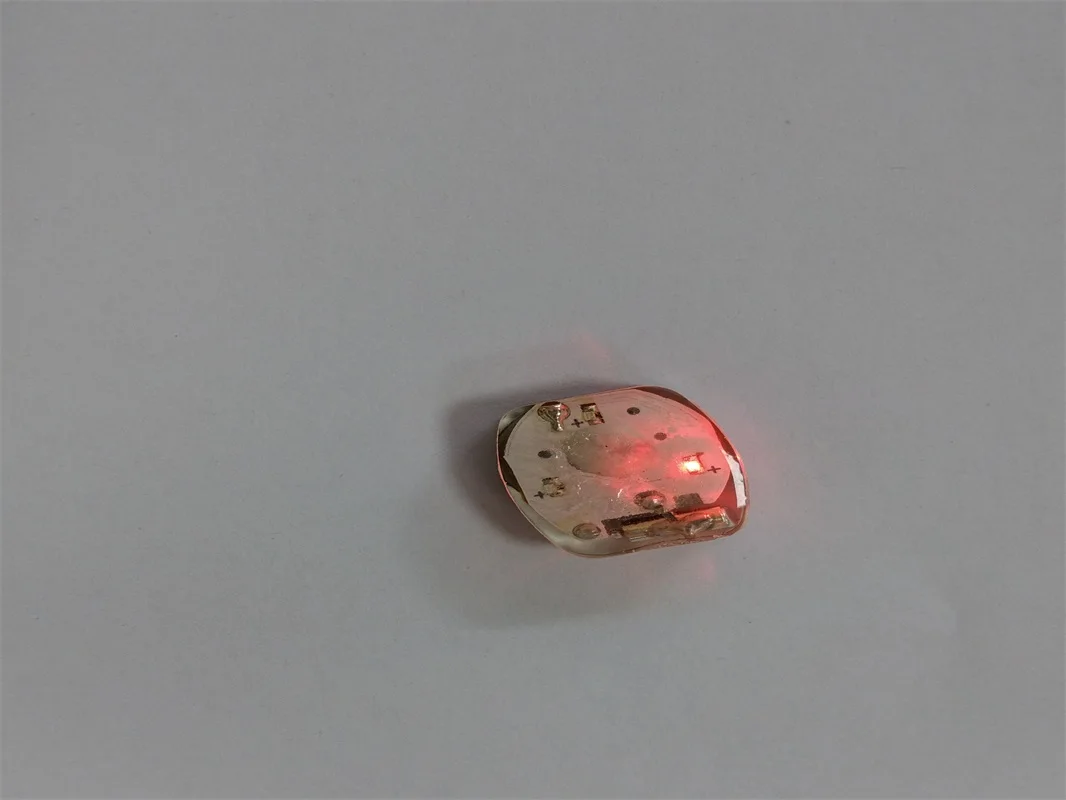 Waterproof Decoration Mini Vibration Sensor Twinkle Led Lights Flashing Sound Module for Shoes,T-shirts,Clothes