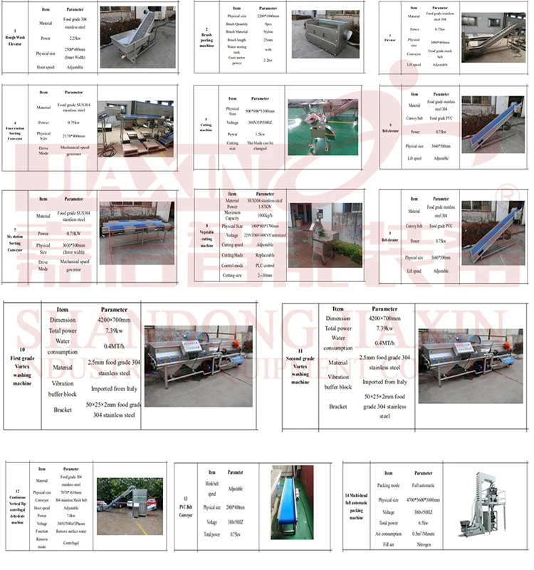 Industry used vegetable processing machine