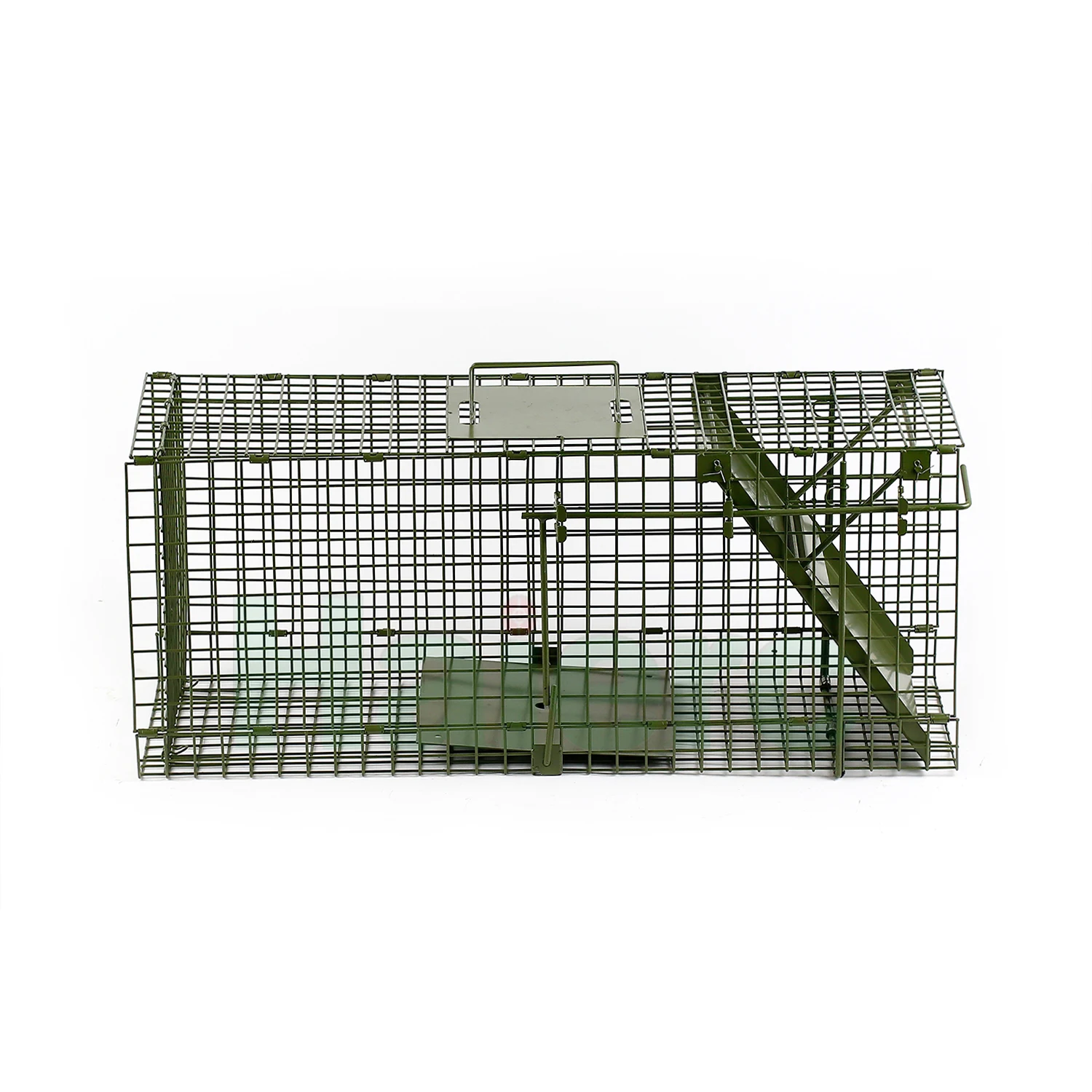 Haierc Fox Cage Trap Fold Wire Fox Trap Cage Fox Traps For Sale - Buy ...