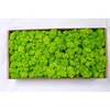 Verde chiaro