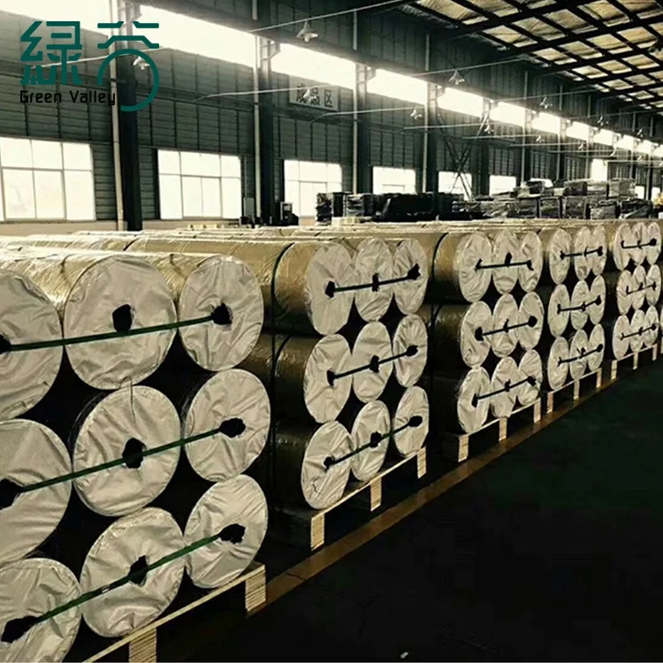 3-12mm Thick Indoor Gym Flooring Rolls  EPDM Rubber Flooring Mat for Fitness
