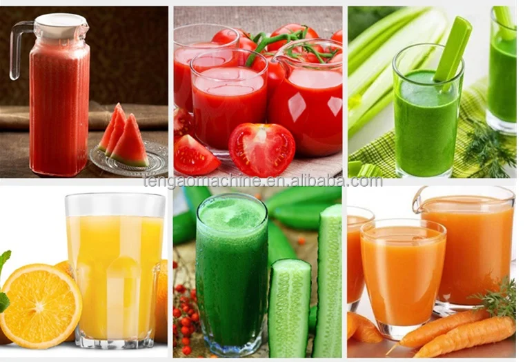 Industrial Spiral Fruit Juice Making Machine Juicers/ Commercial Automatic Cold Press Carrot Juicer