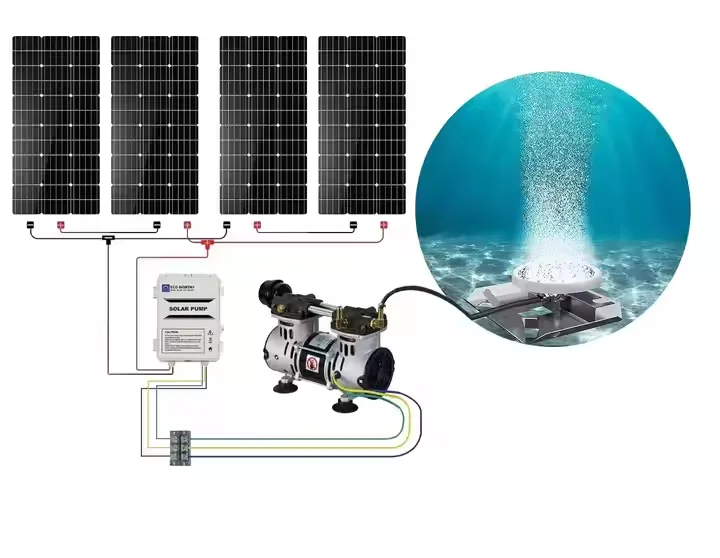 DC24V Solar Pump 350w Portable Compressor Aquarium Air Pump and Solar  Oxygenator Pond Pump for Fish Pond Aeration