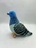 Piccione blu