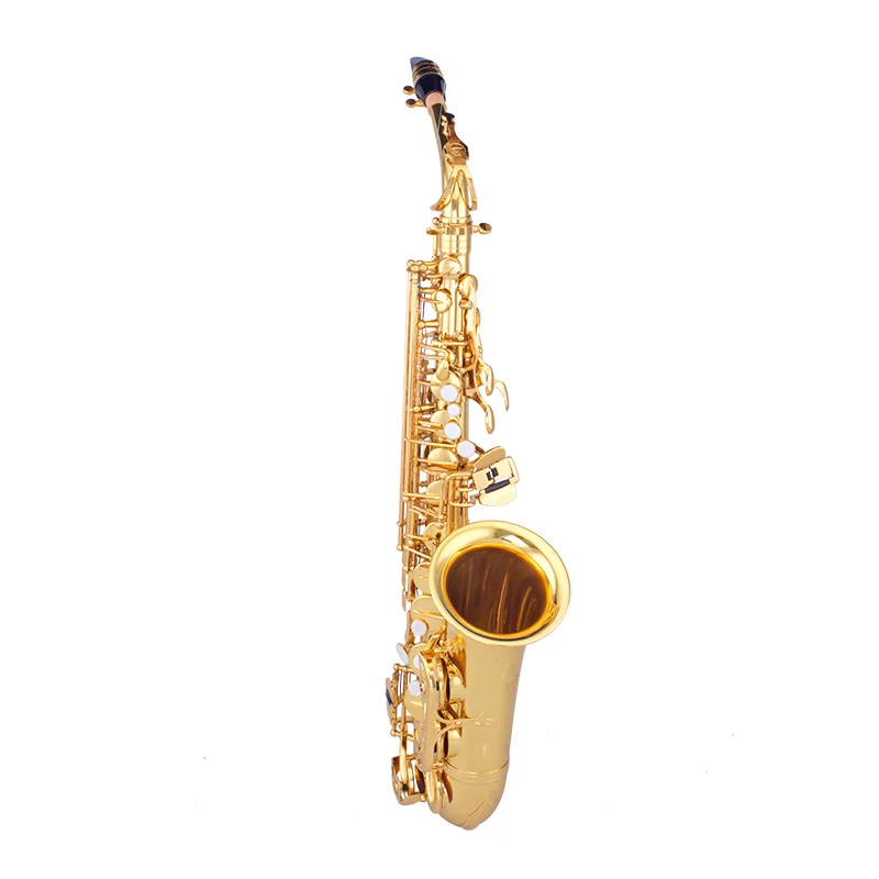 Sassofono Alto TaiShan 5000 Incisione Abalone | Eb | Finitura Oro | Professionale Con Custodia - Foto 3