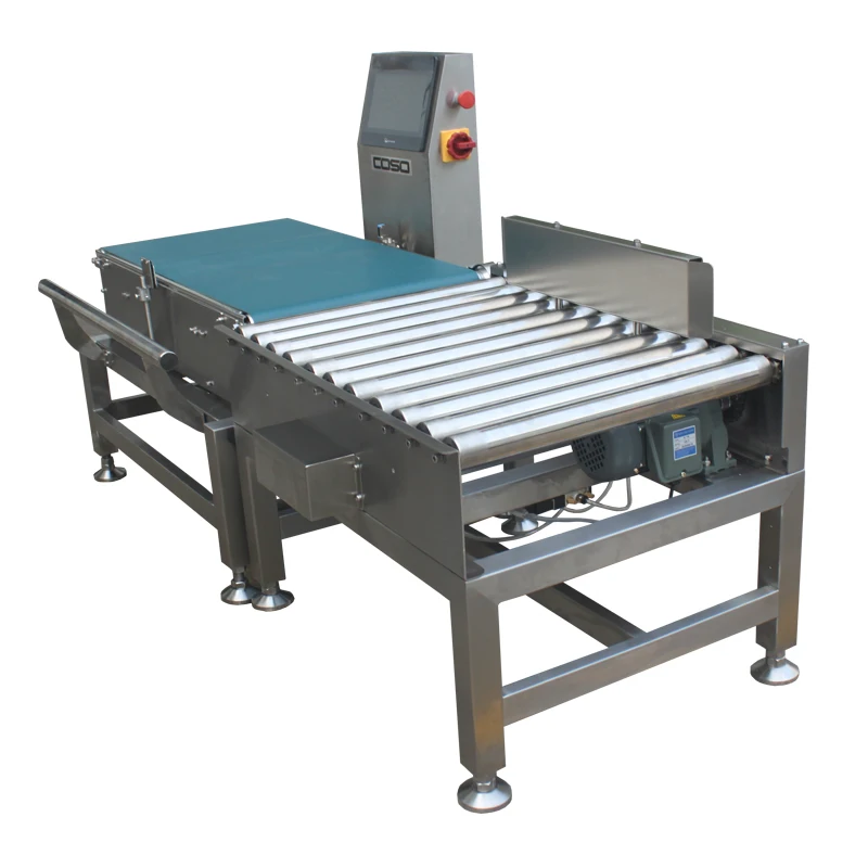 Food Conveyor Weighing Machine for Big Heavy Cartons Bags