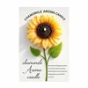 Orange-Sunflower