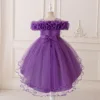 สีม่วง1