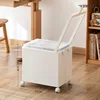White - with wheels and cover - white pull rod