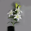 h2