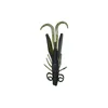 Green fairy flower tail shrimp bulk single