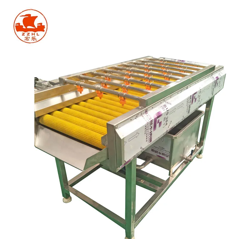 Sugarcane Washing Machine Citrus Cactus Fruit Brush Roller Fruit Washing Machine