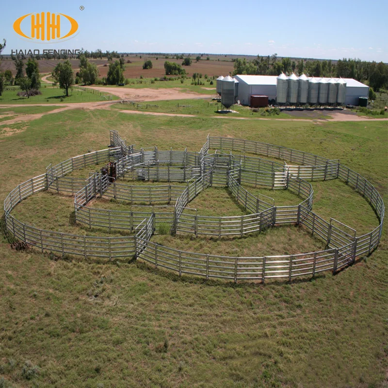 Wholesale Bulk High Quality Australia Standard Galvanized Metal Cattle ...