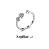 Sagittario