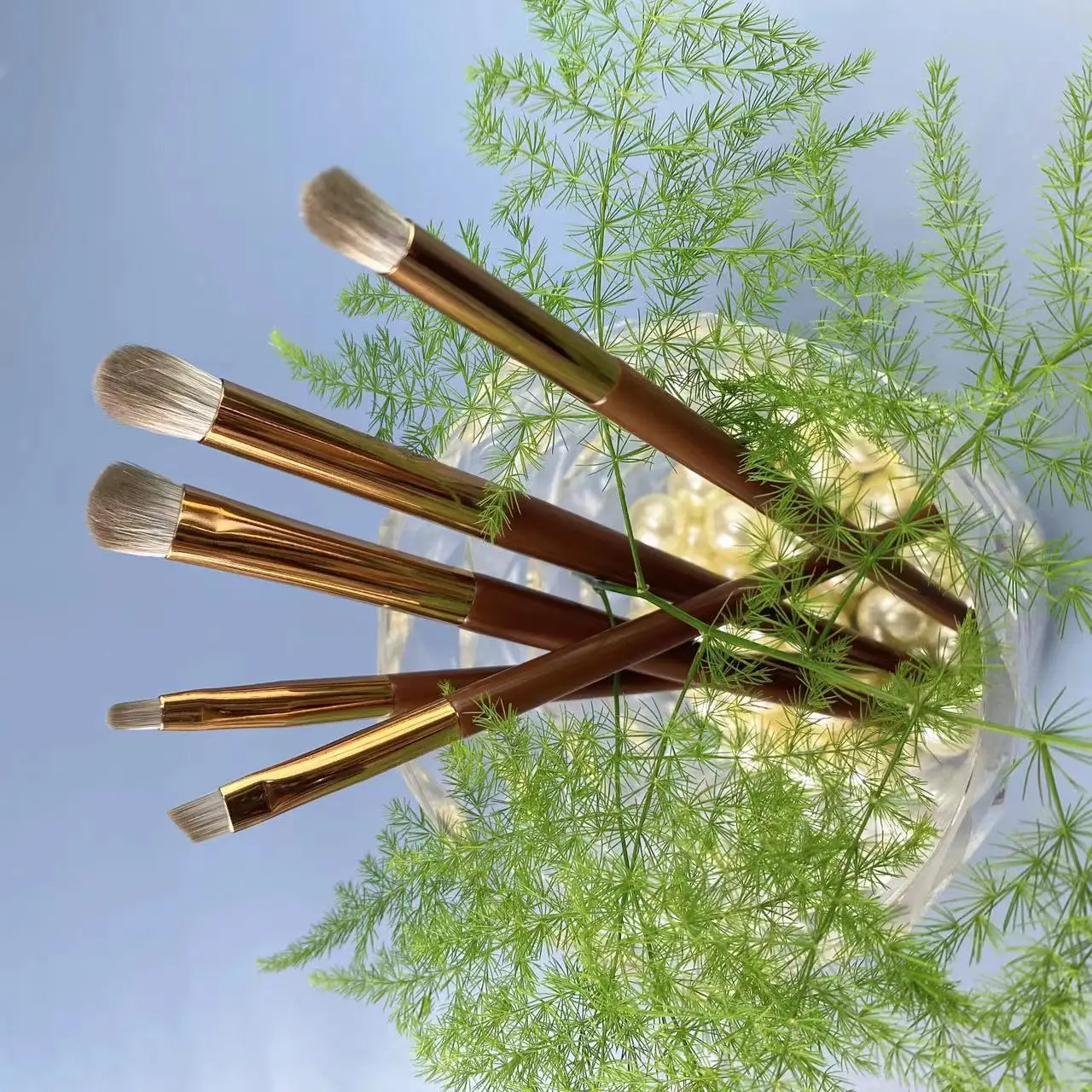 5-Piece Makeup Brush Set with Brown Wood Handle Soft Eye Lip