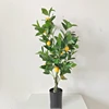 F3 120cm