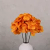 Oranges en grappe