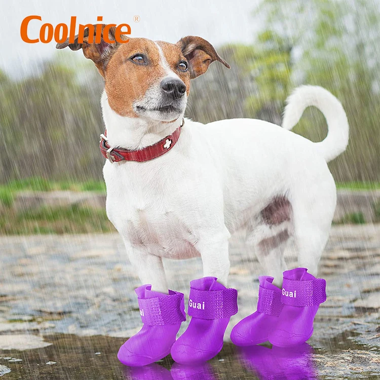 Pet Dog Socks Sneakers For Dogs Puppy Cat Shoes Boots Silicone Non-slip  Disposable Dog Shoes For Summer - Buy Silicone Dog Shoe,Dog Shoes  Summer,Disposable Dog Shoes Product on 