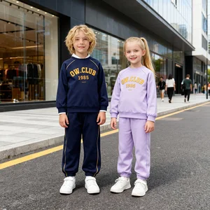 Oem Comfortable 95% Cotton 5% Spandex Drop Shoulder Urban Fashion Kids Streetwear Characters Pullover Sweatshirts Chenille logo