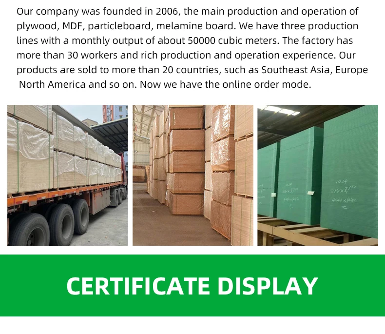 Manufacturing Price E1 Plain Eucalyptus Okoume Birch Plywood 4x8 9mm