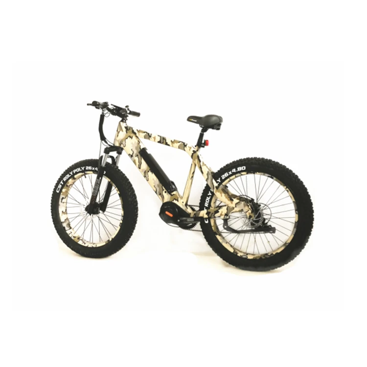 Welcome To Inquiry Price 48v 1000w Electric Bicycle Mountainbike Mountain Bike