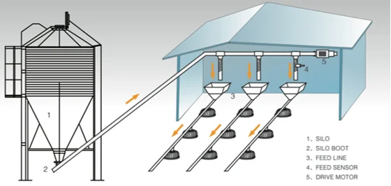 Automatic Chicken Feeder Line - Efficient Poultry Farming